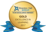 Brandon Hall Gold Award 2017