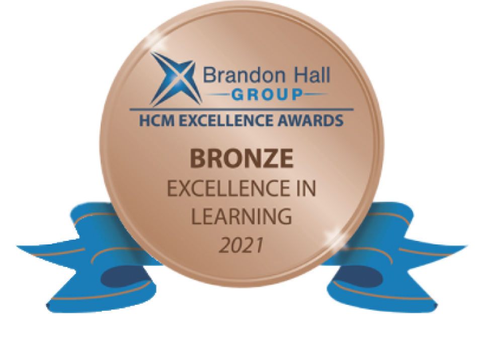 bronze-excellence in learning 1