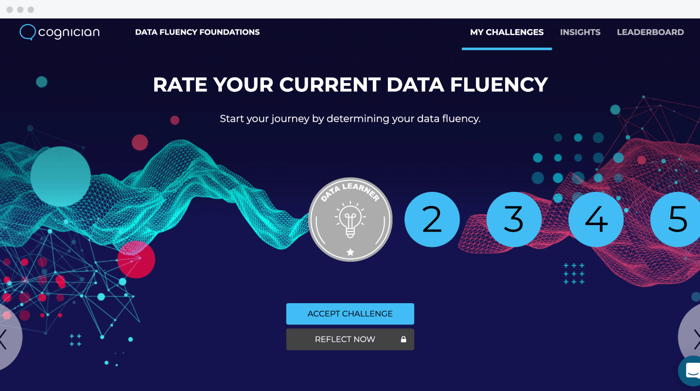 Data Fluency Foundations Quest